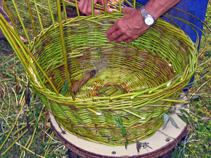 eika image